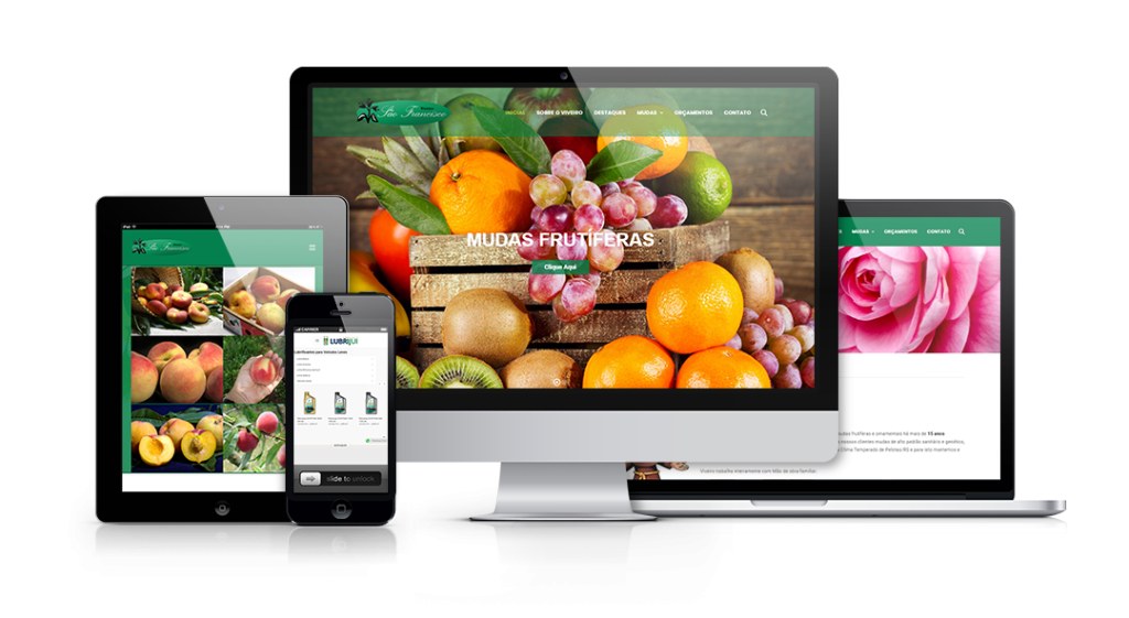 Mockup mostrando um projeto de criação de sites WordPress da OUSE WEB em múltiplos dispositivos.